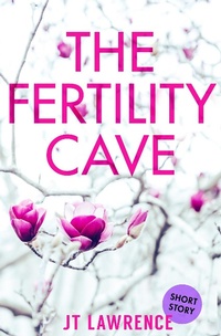 Enlarge image Cover: The Fertility Cave - JT Lawrence