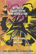 Cover: Between Catastrophe and Revolution - Or Books