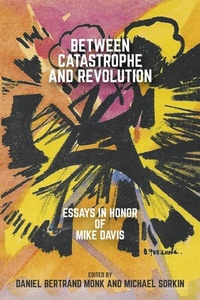 Enlarge image Cover: Between Catastrophe and Revolution - Or Books