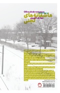 Cover: Olive drab romance - Pomegranate Publication