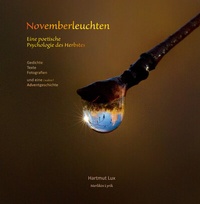 Enlarge image Cover: Novemberleuchten - Hartmut Lux