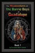 Cover: The Misadventures of the Barrio Boys of Guadalupe - Lulu.com