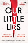 Cover: Our Little Lies - Bloodhound Books