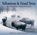 Cover: Yellowstone & Grand Teton Wildlife Portfolio (Sc) - Farcountry Press
