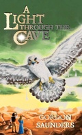 Cover: A Light through the Cave - Mediaropa