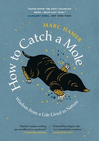 Enlarge image Cover: How to Catch a Mole - Greystone Books