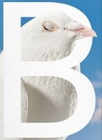Enlarge image Cover: B-SIDES - Verlag für Moderne Kunst