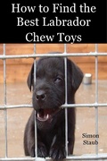 Cover: How to Find the Best Labrador Chew Toys (Dog training, #4) - Dog training