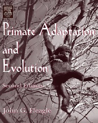 Enlarge image Cover: Primate Adaptation and Evolution - Academic Press