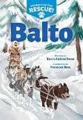 Cover: Balto (Animals to the Rescue #1) - Scholastic Press