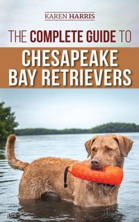 Enlarge image Cover: The Complete Guide to Chesapeake Bay Retrievers - LP Media Inc.