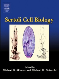 Abbildung von: Sertoli Cell Biology - Academic Press