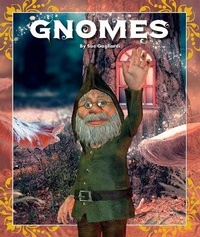 Abbildung von: Gnomes - Child's World