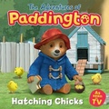 Cover: Hatching Chicks - HarperCollins