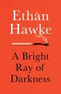 Cover: A Bright Ray of Darkness - Vintage Books