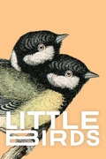 Cover: Little Birds - IngramSpark