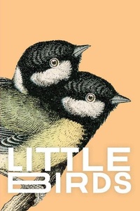 Enlarge image Cover: Little Birds - IngramSpark