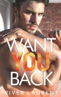 Cover: Want You Back - R Laurent