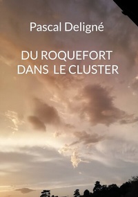 Abbildung von: Du roquefort dans le cluster - BoD - Books on Demand