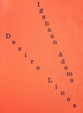 Cover: Igshaan Adams - Art Institute of Chicago