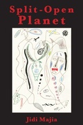 Cover: Split-Open Planet - Regent Press