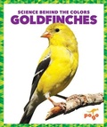 Cover: Goldfinches - Pogo Books