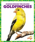 Cover: Goldfinches - Pogo Books