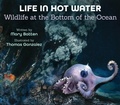Cover: Life in Hot Water - Peachtree Publishers