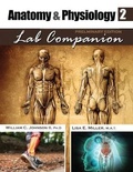 Cover: Anatomy and Physiology 2 Lab Companion, Preliminary Edition - Kendall/Hunt Publishing Co ,U.S.