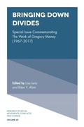 Cover: Bringing Down Divides - Emerald Publishing Limited