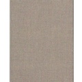 Cover: Andreas Eriksson - Diary #4 - Paul Mcdevitt infinite greyscale