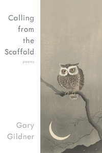 Enlarge image Cover: Calling from the Scaffold - University of Pittsburgh Press