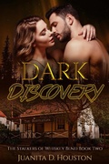 Cover: Dark Discovery (The Stalkers of Whiskey Bend, #2) - The Stalkers of Whiskey Bend