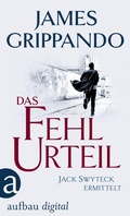 Cover: Das Fehlurteil - Aufbau