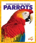 Cover: Parrots - Pogo Books