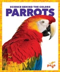 Cover: Parrots - Pogo Books