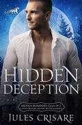 Cover: Hidden Deception (Hidden Runaways, #2) - Silver Orb Books