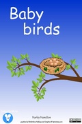 Cover: Baby Birds - ComputerMice