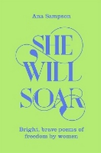 Abbildung von: She Will Soar - Macmillan Children's Books