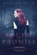 Cover: Touch of Promise (The Collectors, #3) - The Collectors
