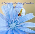 Cover: A Perfectly Ordinary Paradise - Manetti Shrem Museum