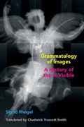 Cover: Grammatology of Images - Fordham University Press