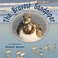 Cover: The Bravest Sandpiper - On the Wing