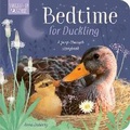 Cover: Bedtime for Duckling - Little Tiger