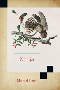 Enlarge image Cover: Nightjar - Ragged Sky Press
