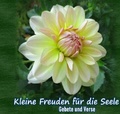 Cover: Kleine Freuden f&uuml;r die Seele - epubli