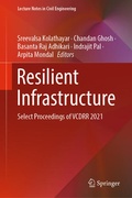 Cover: Resilient Infrastructure - Springer