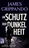 Cover: Im Schutz der Dunkelheit - Aufbau