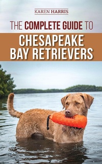 Enlarge image Cover: The Complete Guide to Chesapeake Bay Retrievers - LP Media Inc