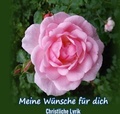 Cover: Meine W&uuml;nsche f&uuml;r dich - epubli